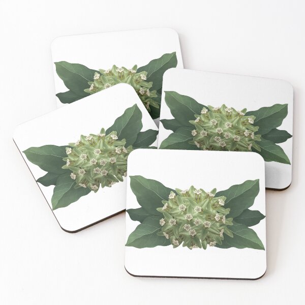 Item preview, Zizotes Milkweed designed and sold by Inuyasha907.