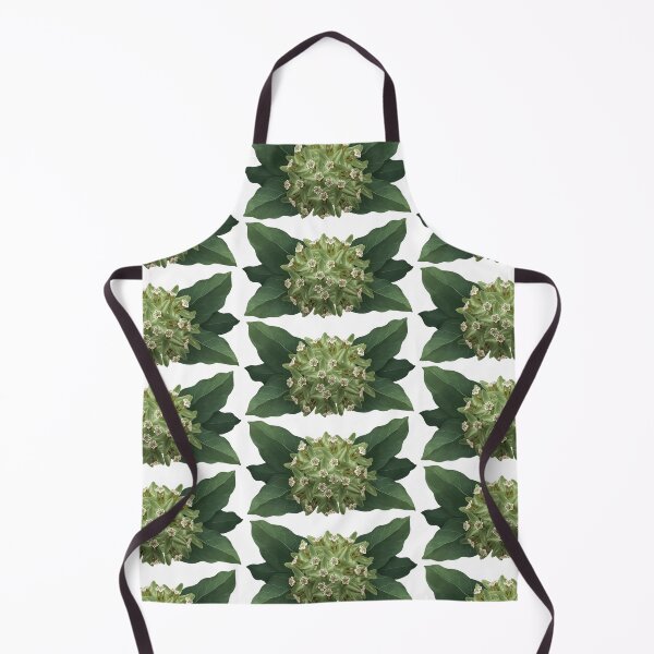 Item preview, Zizotes Milkweed designed and sold by Inuyasha907.