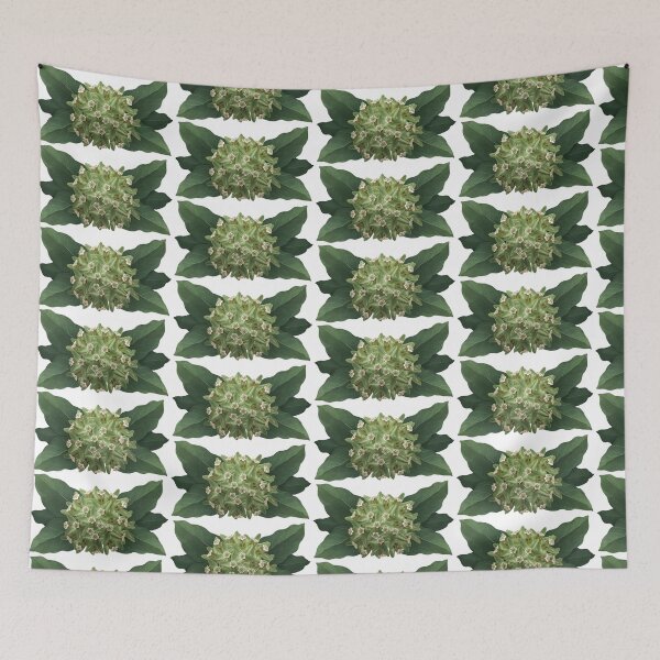 Item preview, Zizotes Milkweed designed and sold by Inuyasha907.