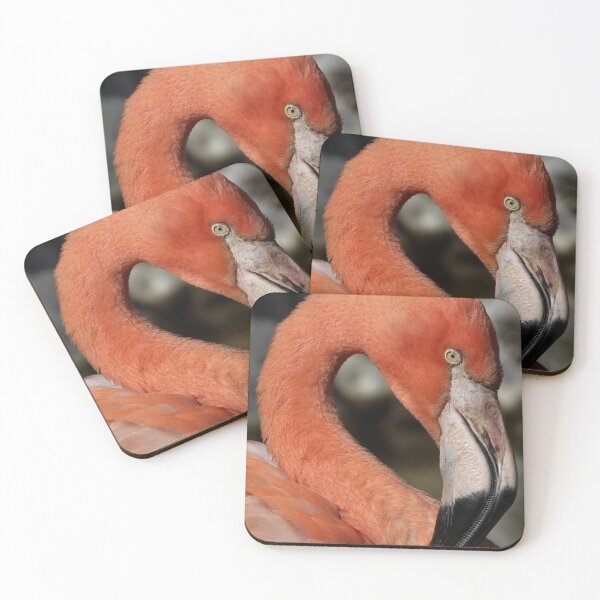Item preview, Flamingo designed and sold by Yampimon.