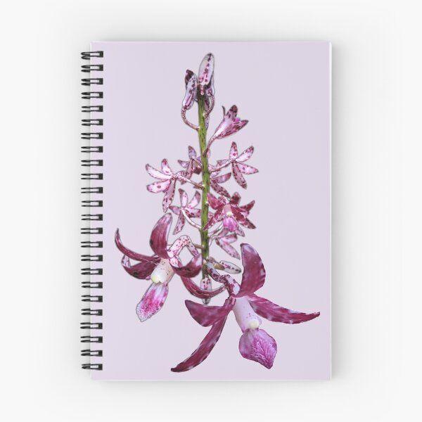 Item preview, Hyacinth Orchid designed and sold by Anne-Maree Hunter.