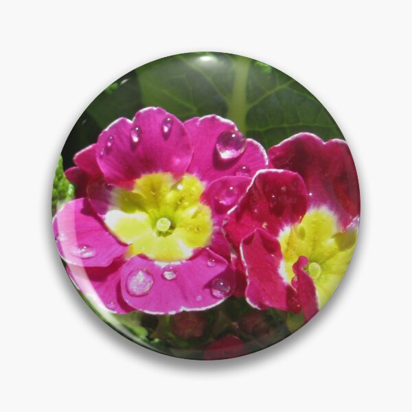 Artikelvorschau, Raindrop Jewels On Sunlit Primroses entworfen und verkauft von BlueMoonRose.
