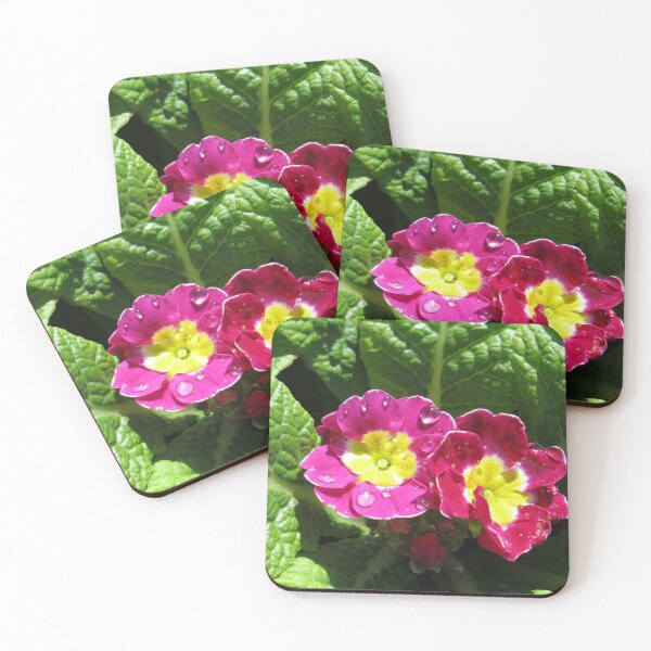 Artikelvorschau, Raindrop Jewels On Sunlit Primroses entworfen und verkauft von BlueMoonRose.