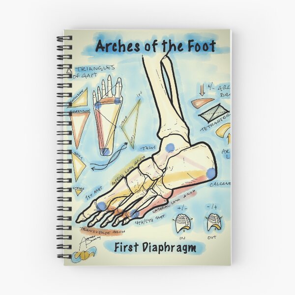 Item preview, Arches of the Foot designed and sold by AdaptablePolar.