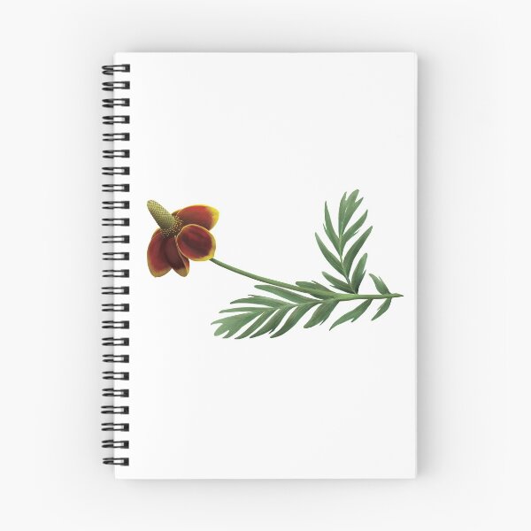 Item preview, Upright Prairie Coneflower designed and sold by Inuyasha907.