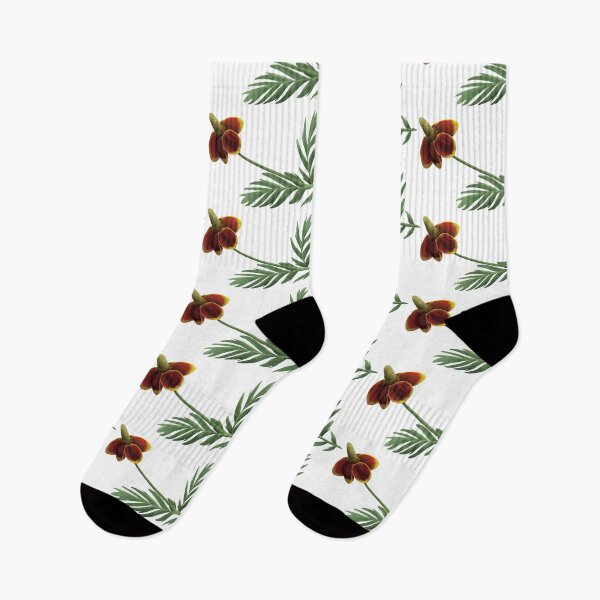 Item preview, Upright Prairie Coneflower designed and sold by Inuyasha907.