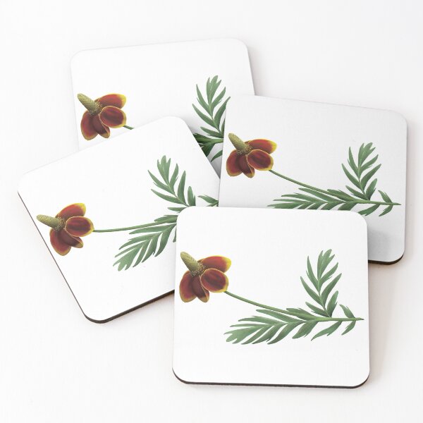 Item preview, Upright Prairie Coneflower designed and sold by Inuyasha907.