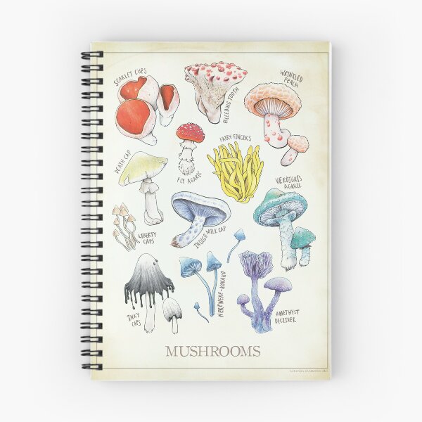 Item preview, Mushroom Biological Illustration designed and sold by OddFogCo.