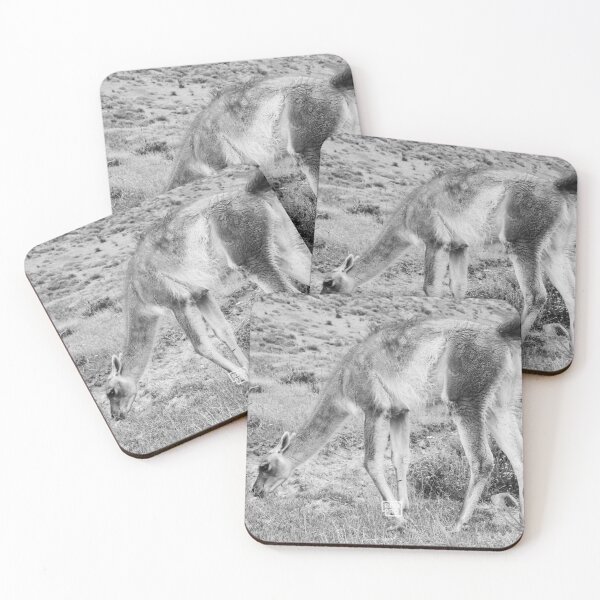 Item preview, Patagonian Guanaco designed and sold by RPCPRO.