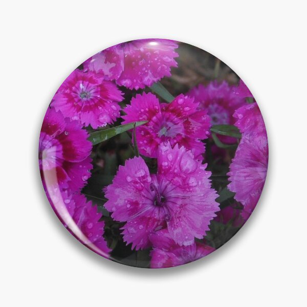 Item preview, Sweet Williams' Tears designed and sold by BlueMoonRose.