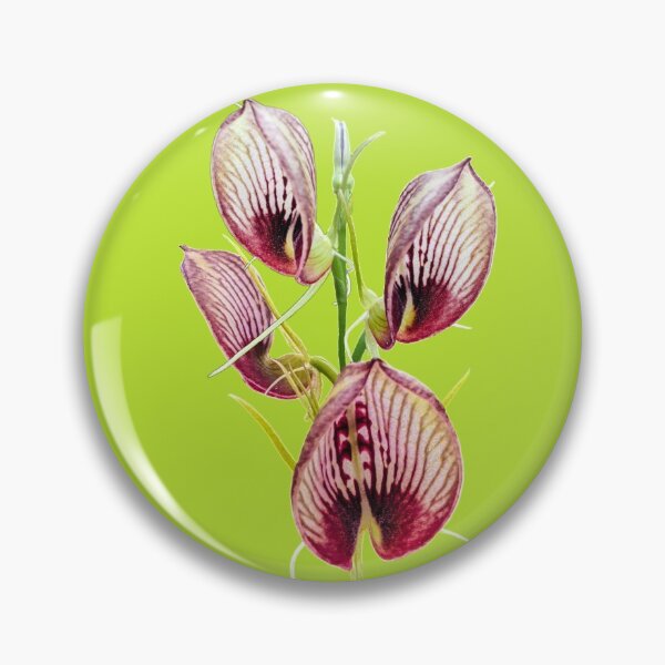 Item preview, Bonnet Orchid designed and sold by Anne-Maree Hunter.