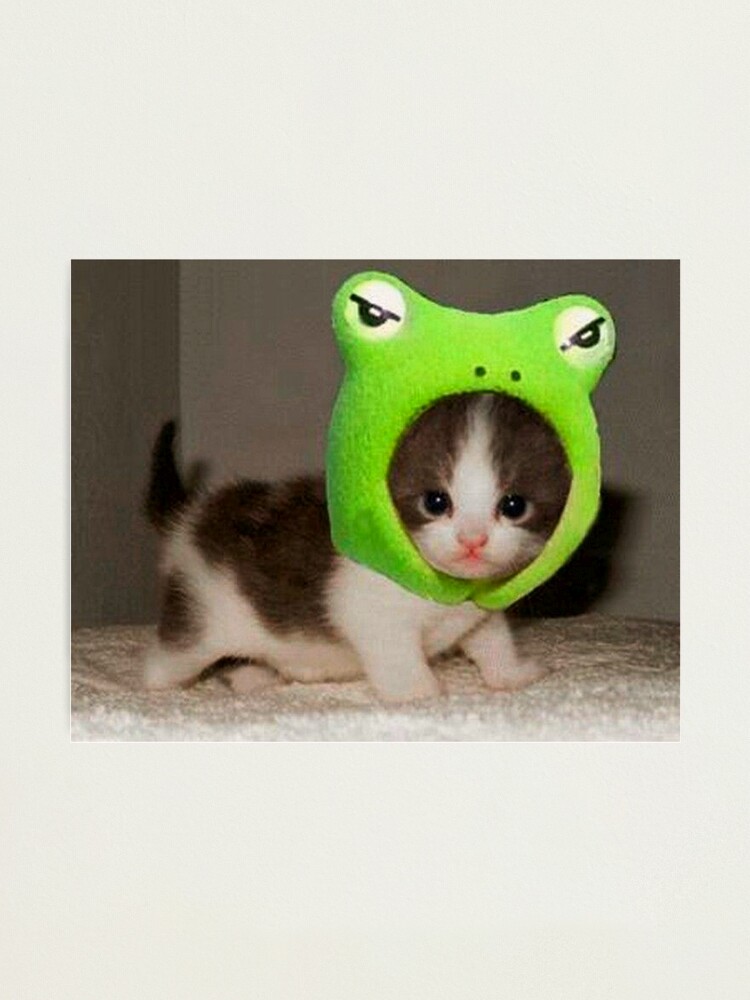 Frog hat deals