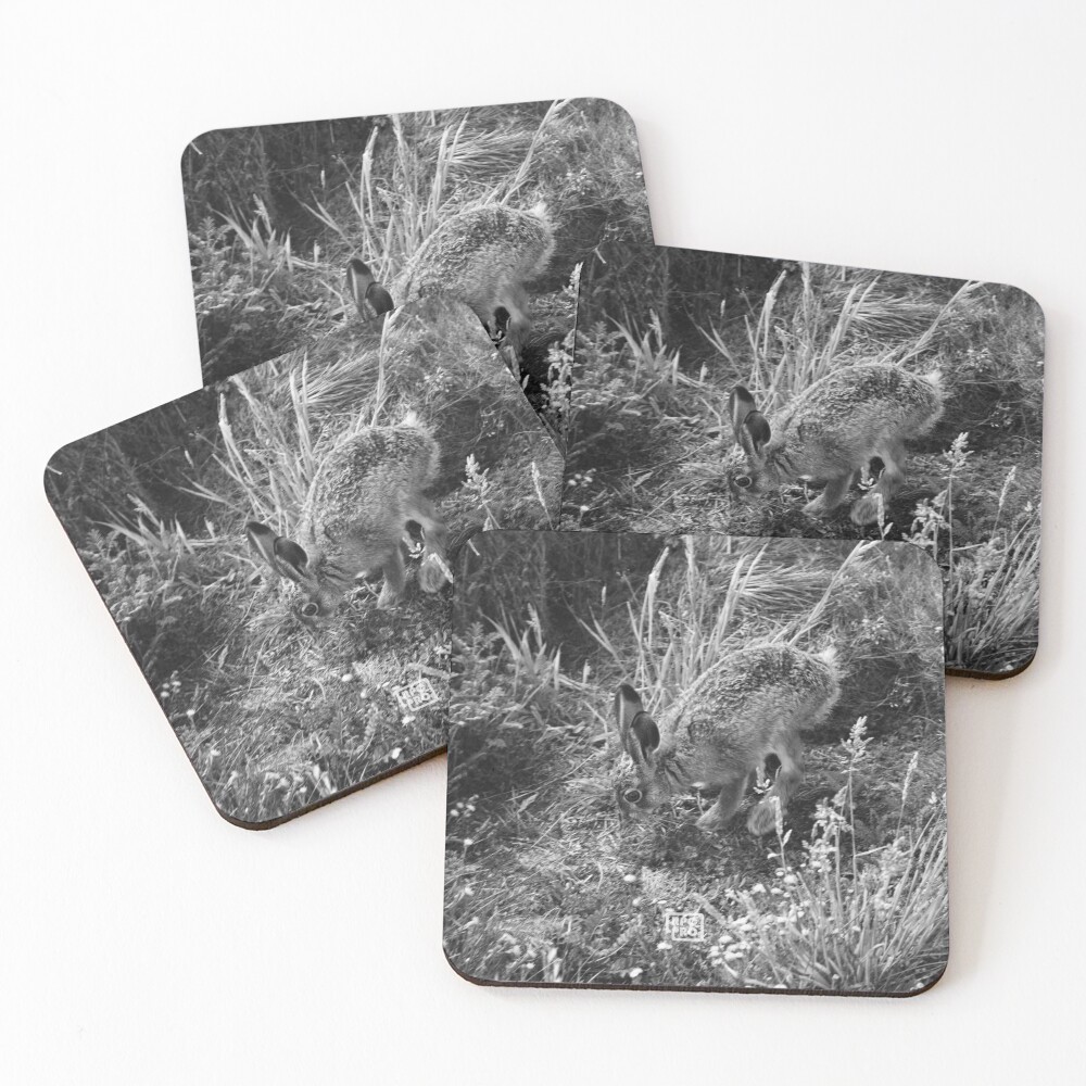 Item preview, Coasters (Set of 4) designed and sold by RPCPRO.