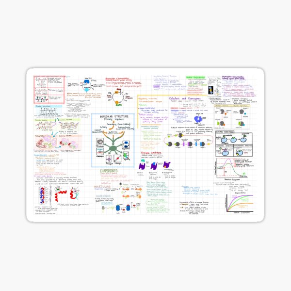 Item preview, Cellular biology notes designed and sold by skylarchase.