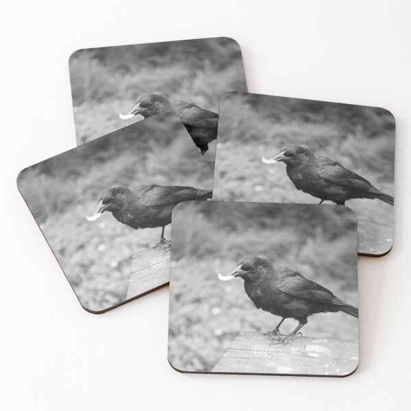 Item preview, Pajaro Negro designed and sold by RPCPRO.
