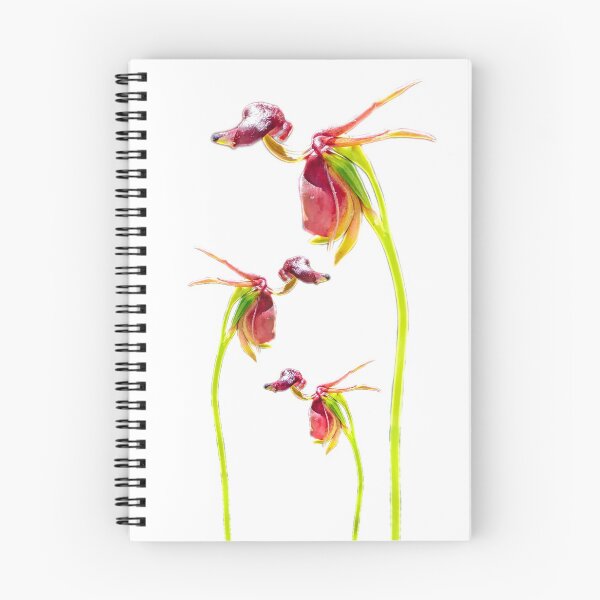 Item preview, Flying Duck Orchid Trio designed and sold by Anne-Maree Hunter.
