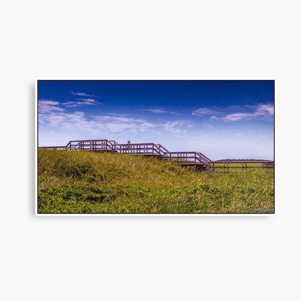 Item preview, Lawrencetown Beach Boardwalk designed and sold by kenmo.