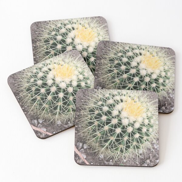 Item preview, Barrel cactus designed and sold by JuliVogel.