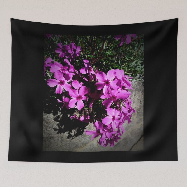 Item preview, Brilliant Fuchsia Flowers Cascading Down The Wall Photo Design designed and sold by EarthArtDesigns.