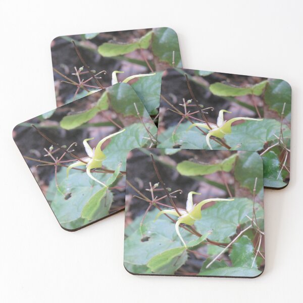 Item preview, Weird yellowish flower designed and sold by greentiger1.