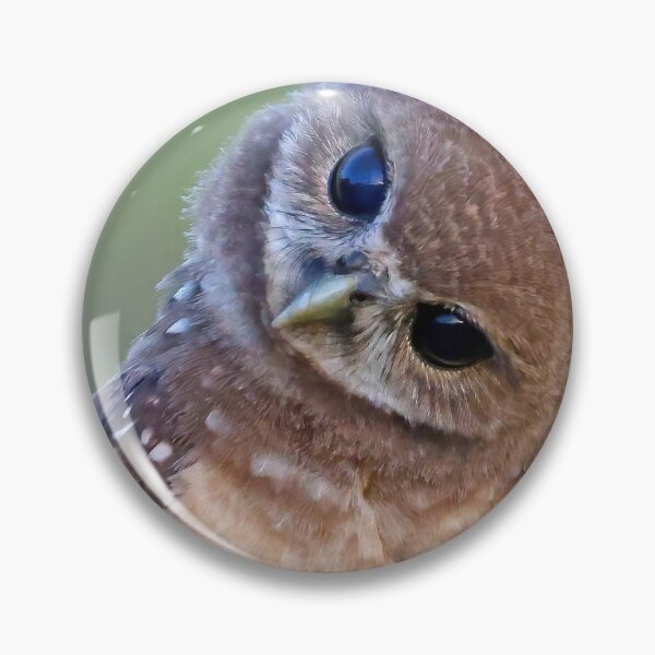 Item preview, Burrowing Owlet designed and sold by Anthony Goldman.