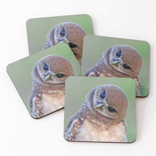 Item preview, Burrowing Owlet designed and sold by Anthony Goldman.