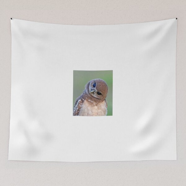 Item preview, Burrowing Owlet designed and sold by Anthony Goldman.