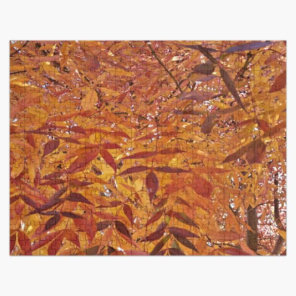 Beautiful autumn leaves in red, yellow and orange tones Jigsaw Puzzle