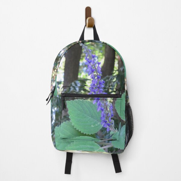 Item preview, Purple plectranthus bloom designed and sold by greentiger1.