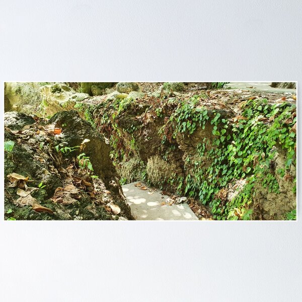 Item preview, Nusa Penida Bali Temeling beach and forest designed and sold by tnt1973.