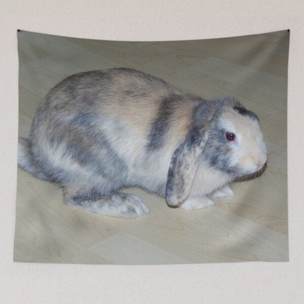 Item preview, Dwarf ram designed and sold by Babbler01.