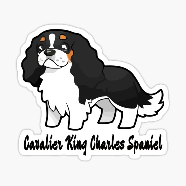 Cavalier Collection - Tricolour Sticker