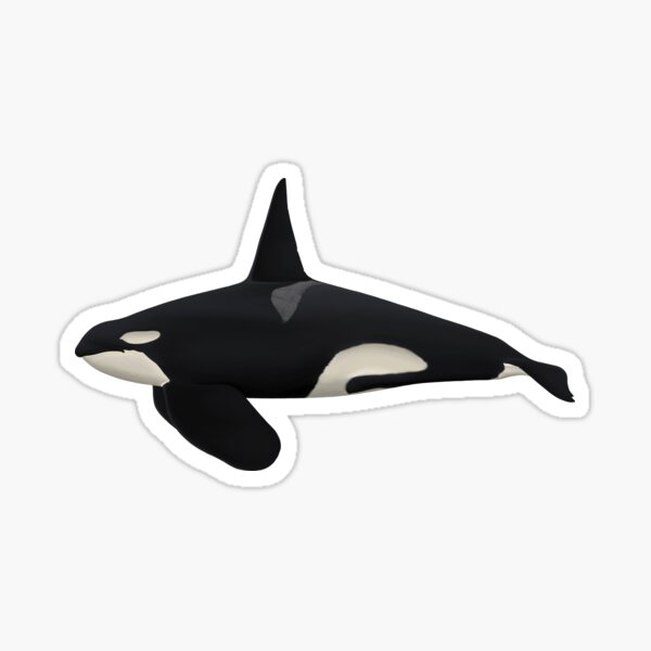 Item preview, California Killer Whale, CA20 | OCT02 | T132 designed and sold by Selena Rivera.