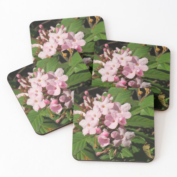 Item preview, Lovely pink bloom designed and sold by greentiger1.