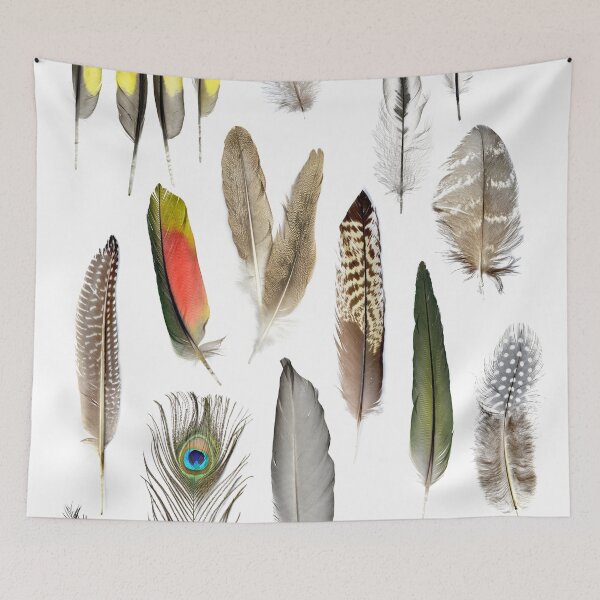 Item preview, Feather Collage The Sequel designed and sold by therandomimage2.