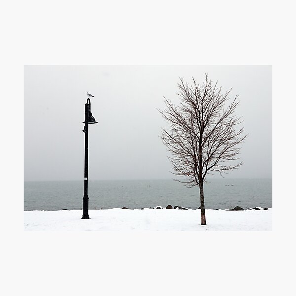 Winterlude Photographic Print