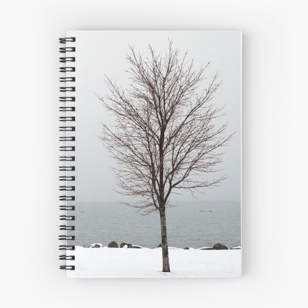 Item preview, Winterlude designed and sold by passingpixels.