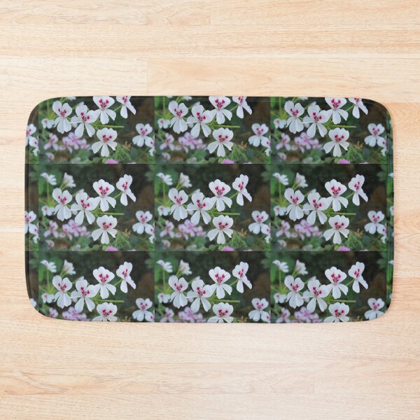 Item preview, White pelargonium echinatum designed and sold by greentiger1.