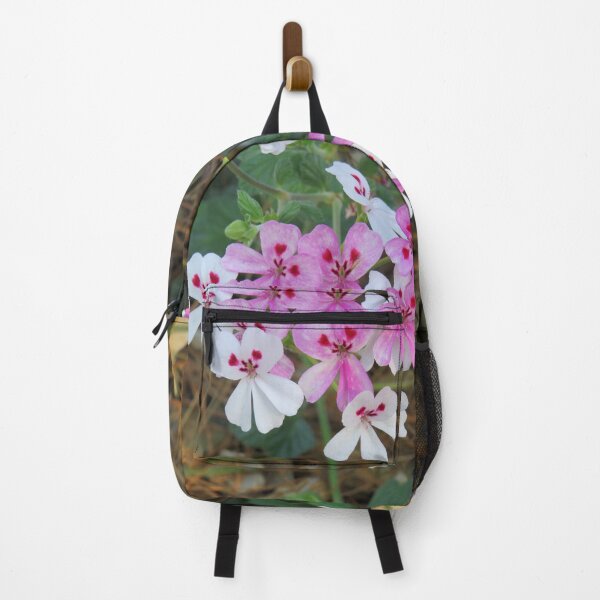 Item preview, Pink pelargonium echinatum designed and sold by greentiger1.