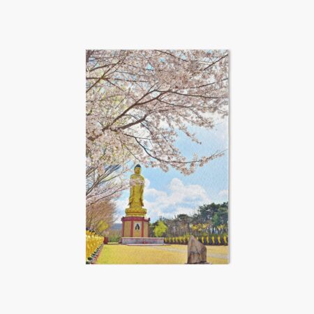 Cherry Blossoms and Buddha, Buddha Picture, Buddhist Gift, Buddhism, Cherry Blossoms Art Board Print