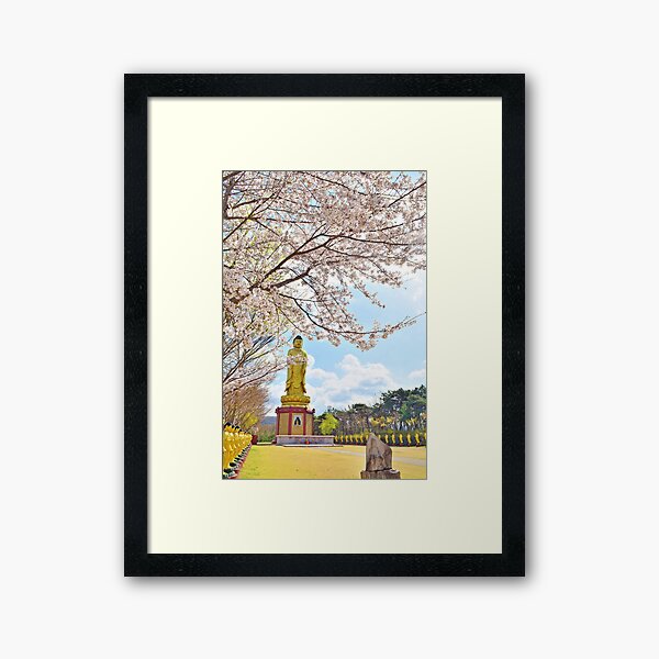 Cherry Blossoms and Buddha, Buddha Picture, Buddhist Gift, Buddhism, Cherry Blossoms Framed Art Print