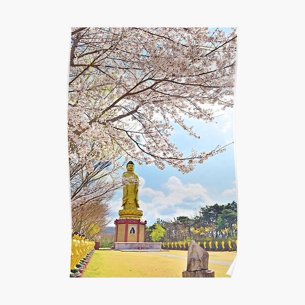 Cherry Blossoms and Buddha, Buddha Picture, Buddhist Gift, Buddhism, Cherry Blossoms Poster