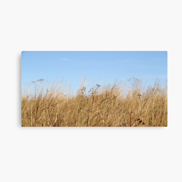 Verstreut Canvas Print
