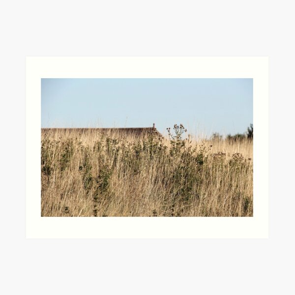Fields Art Print