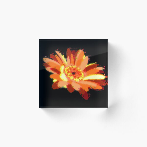 Digital flower Acrylic Block