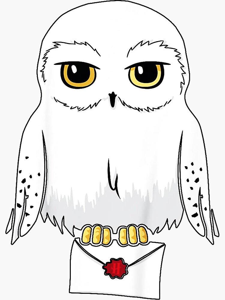 How To Draw A Cartoon Harry Potter And Hedwig Art For 