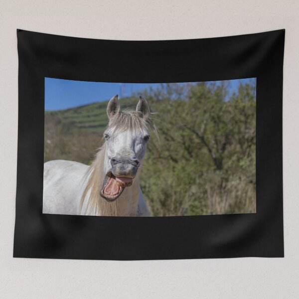 Item preview, Funny horses in nature. Cute and friendly horse yawning. designed and sold by AylaHarbich.