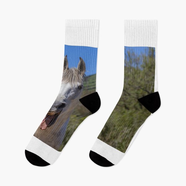 Item preview, Funny horses in nature. Cute and friendly horse yawning. designed and sold by AylaHarbich.