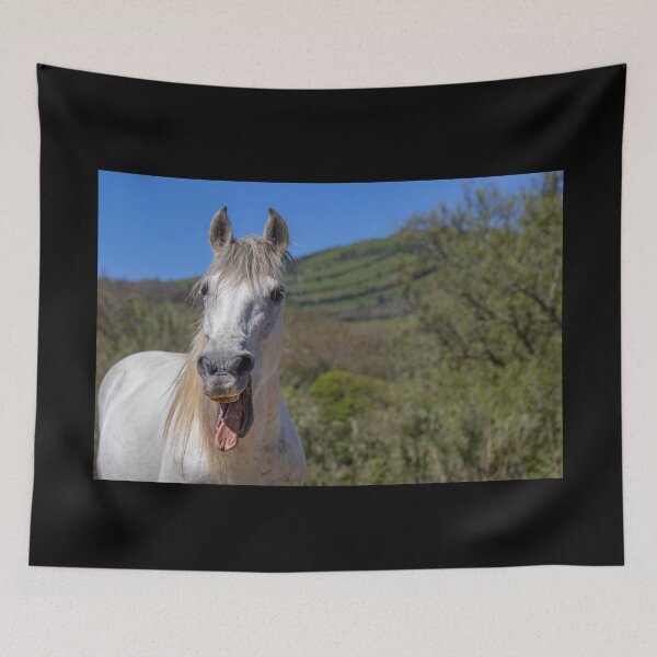 Item preview, Funny horses in nature. Cute and friendly horse yawning. designed and sold by AylaHarbich.