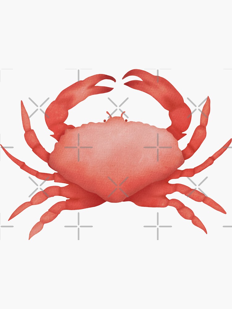 Watercolor crab by beemybear